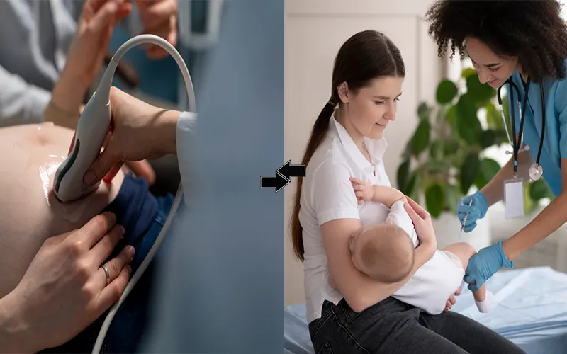 Become a Midwife Without a Nursing Degree- A 7 Step Complete Guide 2 a midwife