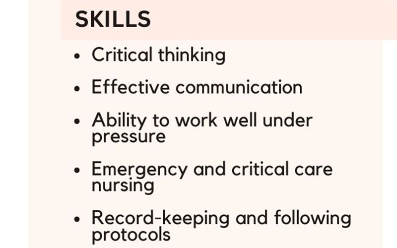 New Grad Nurse Resume Template: 7 Fundamental Sections 3 Skills in Resume